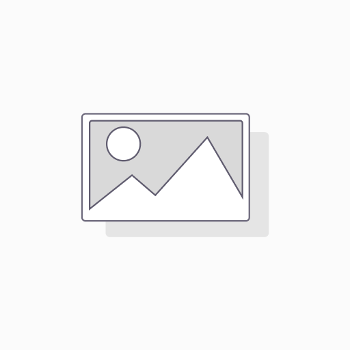 Consulting Hours - 25